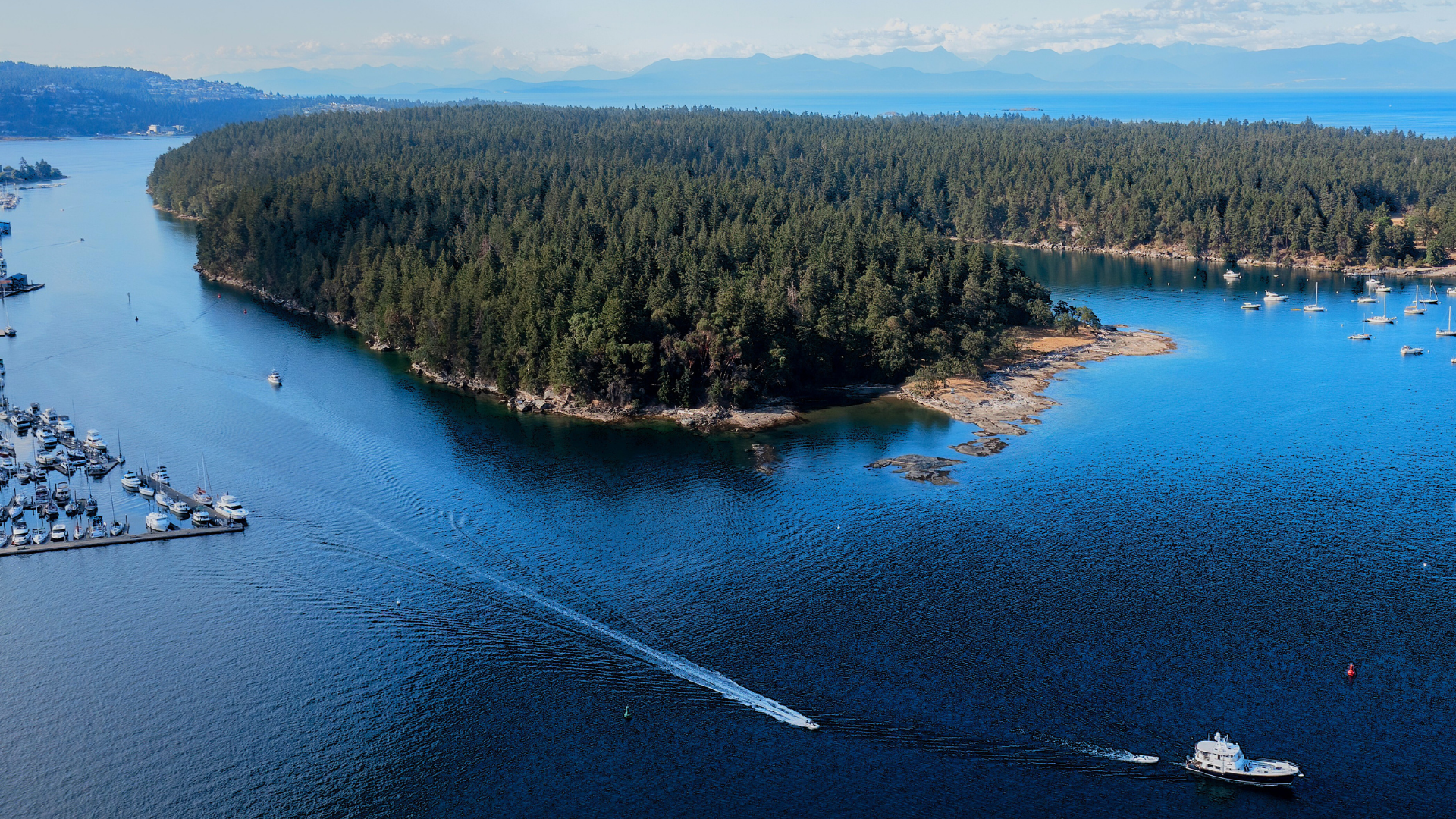 Living in Nanaimo: Pros and Cons (2026 Guide For You)